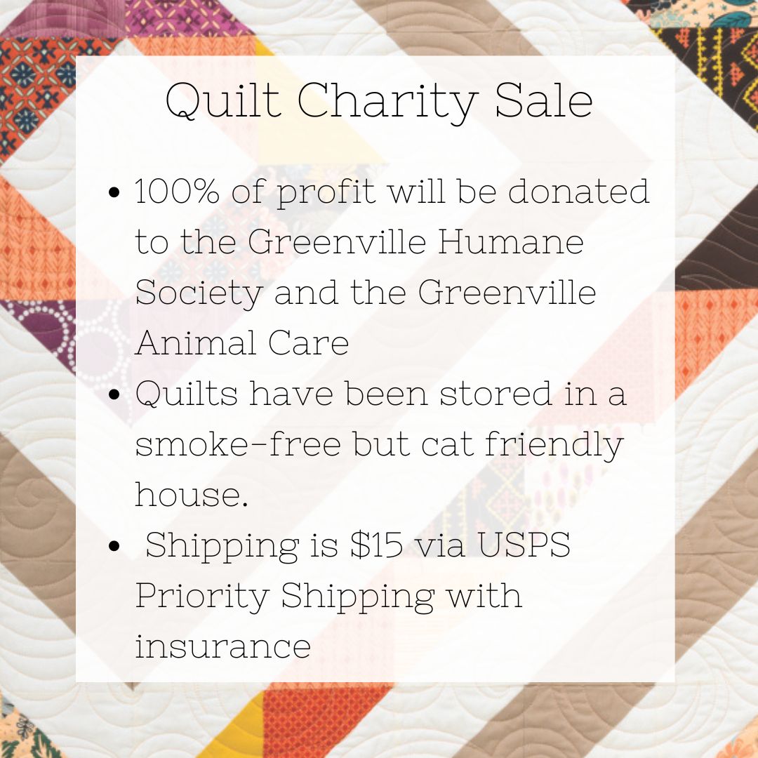 Charming Stripes Quilt B